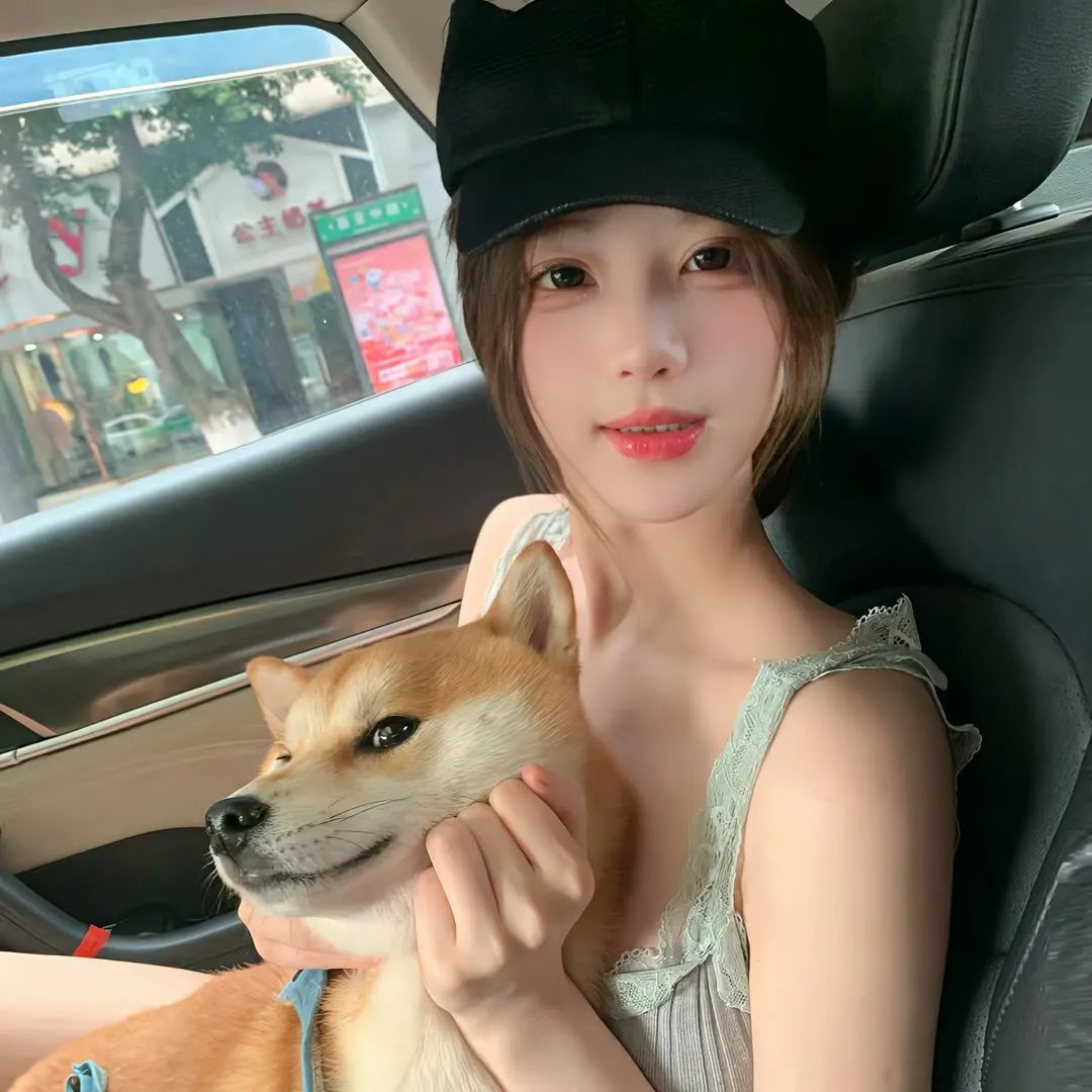 老虎连
